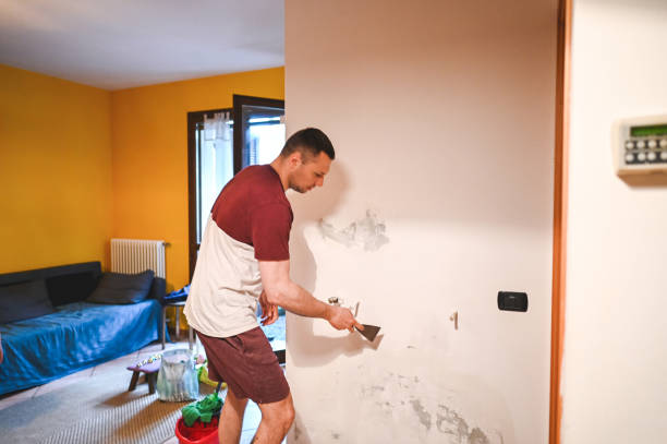 Best Residential Mold Removal  in Springville, NY